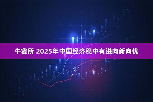 牛鑫所 2025年中国经济稳中有进向新向优